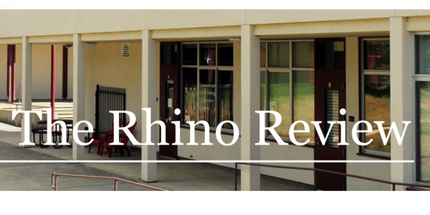 the rhino review
